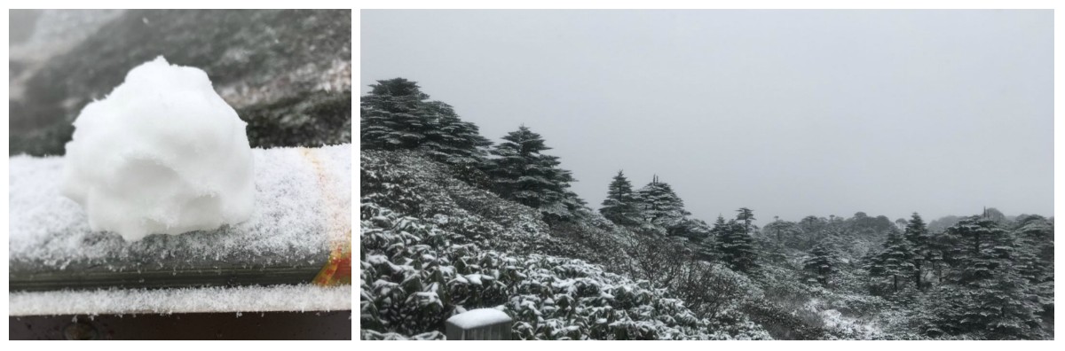 風(fēng)花雪月瑞方情，萬(wàn)水千山大理行 第6張
