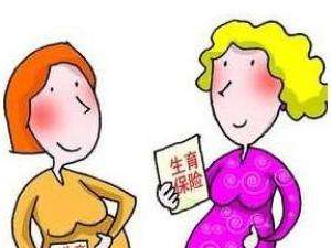 生育保險怎么購買？ 第1張