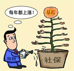 個(gè)人和單位繳納的社保，待遇會有什么區(qū)別？ 第1張