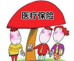 醫療保險個人怎么交網上？ 第1張