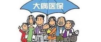 什么是大病醫療保險？ 第1張